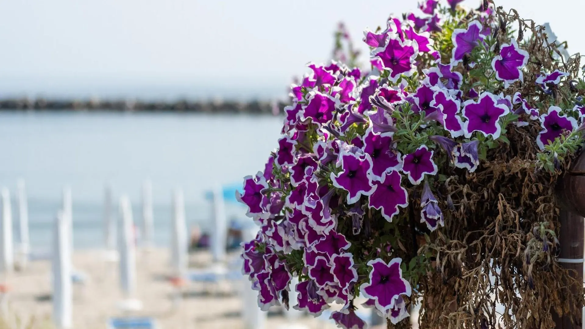 Cosy Apartment In Lido Delle Nazioni With Pool Comacchio 0*,  Italië